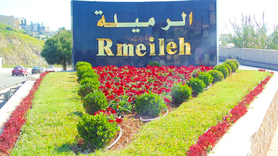 RMEILEH SOCIAL FUND